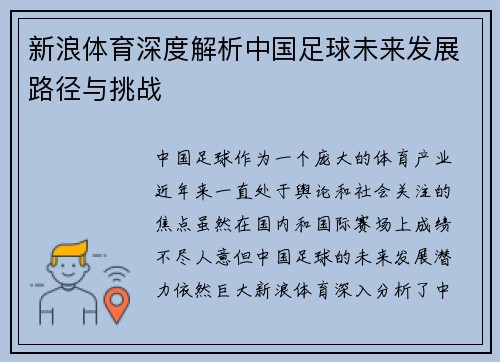 新浪体育深度解析中国足球未来发展路径与挑战